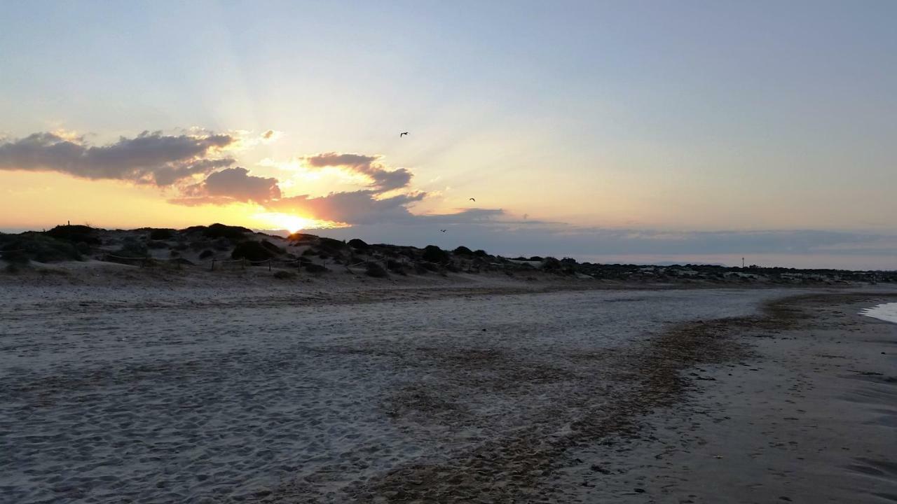 Urbanizacion Puerto Romano - Playa 라 마타 외부 사진